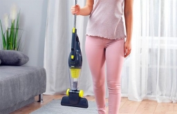 Вертикальный пылесос 2 в 1 «Ровус Шторм»